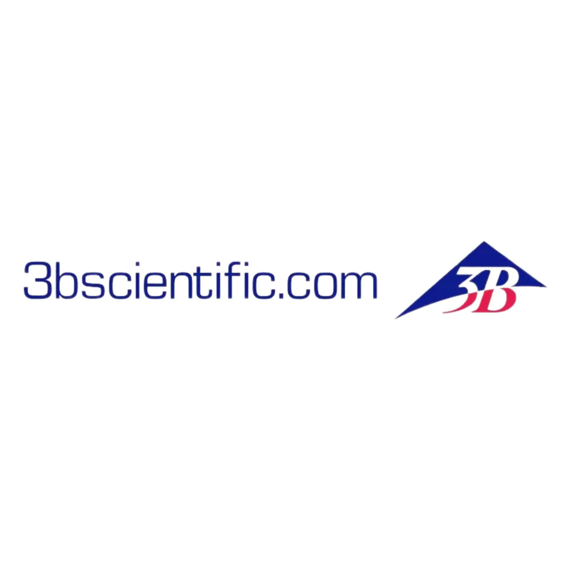 3B-Scientific My Podologie